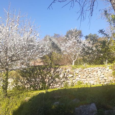 Quinta Dos Carvalhos The Wine House Farm In Center Of Lamego - Capital Of The Douro Villa Buitenkant foto