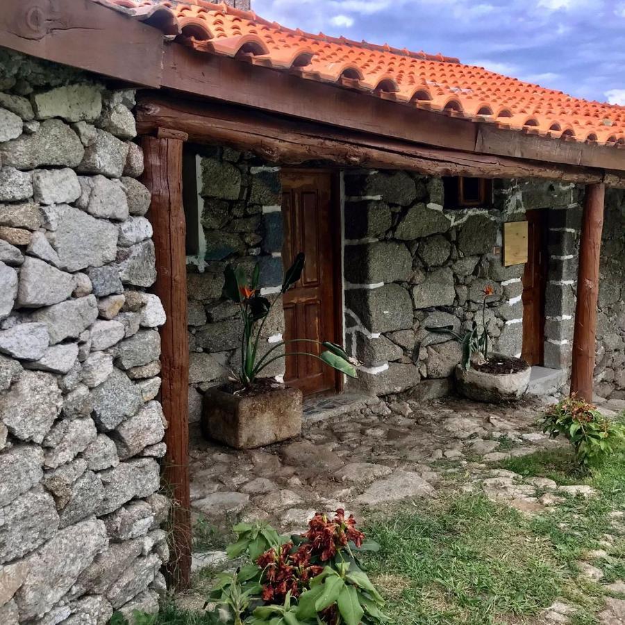 Quinta Dos Carvalhos The Wine House Farm In Center Of Lamego - Capital Of The Douro Villa Buitenkant foto