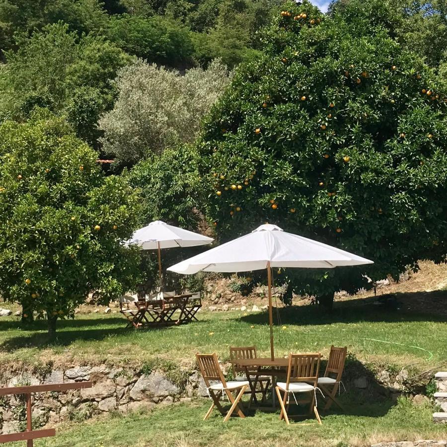 Quinta Dos Carvalhos The Wine House Farm In Center Of Lamego - Capital Of The Douro Villa Buitenkant foto