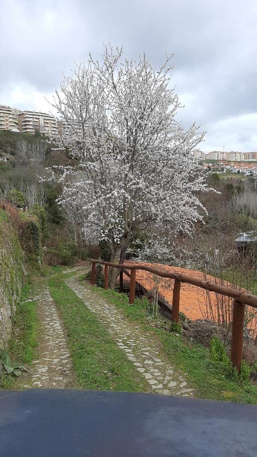 Quinta Dos Carvalhos The Wine House Farm In Center Of Lamego - Capital Of The Douro Villa Buitenkant foto